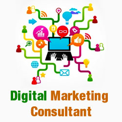 Digital Marketing Consultant