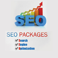 SEO Packages For Small Business